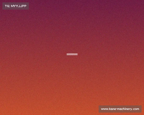 工资最高的体育联赛