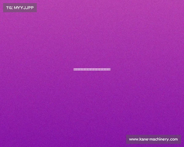 国产体育赛事品牌创新驱动与文化自信的融合崛起之路