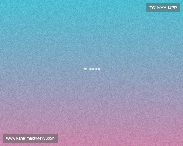 361获奖的那款鞋子