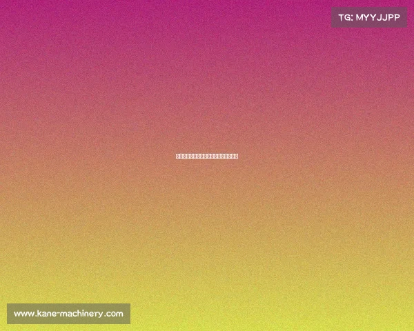 世界女排俱乐部锦标赛激情对决荣耀时刻