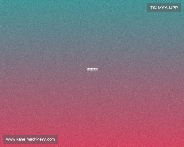 比利时比赛名单